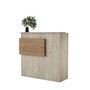 Hanah Home Mesa de Recepción con Iluminación LED Travertino y Nogal